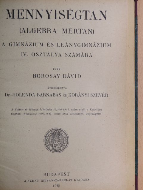 Borosay Dávid - Mennyiségtan [antikvár]