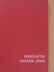 Dr. Hajnal Róbert - Engedjétek hozzám jönni [antikvár]
