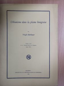 Virgile Bierbauer - Urbanisme dans la plaine hongroise [antikvár]