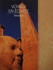 Nina Nelson - Voyage en Égypte [antikvár]