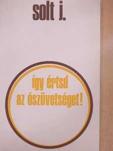 Solt Jenő - Így értsd az Ószövetséget! [antikvár]