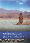 Kormos Tivadar - Gyöngyszemek jézus példázatából (dedikált) [antikvár]