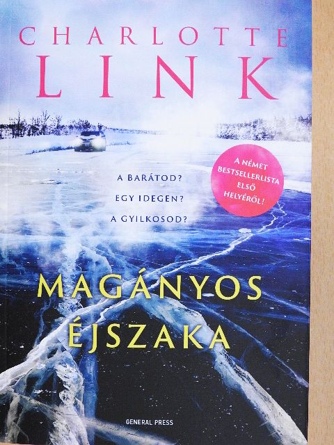Charlotte Link - Magányos éjszaka [antikvár]