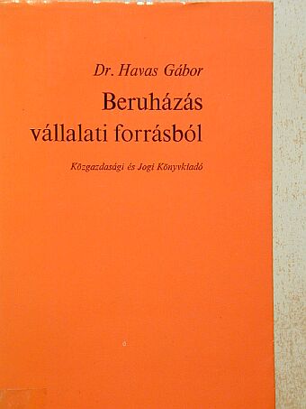 Dr. Havas Gábor - Beruházás vállalati forrásból [antikvár]