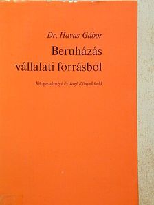 Dr. Havas Gábor - Beruházás vállalati forrásból [antikvár]
