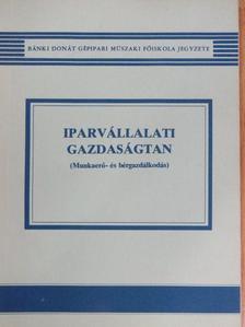 Dr. Iványi László - Iparvállalati gazdaságtan [antikvár]