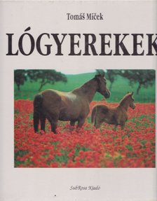 Tomá¹ Míèek - Lógyerekek [antikvár]