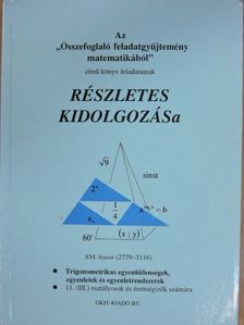 Filetóth István - Az "Összefoglaló feladatgyűjtemény matematikából" című könyv feladatainak részletes kidolgozása XVI. fejezet [antikvár]