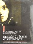 Dr. Nátyi Róbert - A Csongrád Megyei Önkormányzat képzőművészeti gyűjteménye [antikvár]