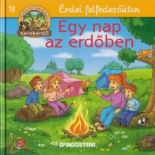 Feryal Kanbay, Stephan Gürtler - Egy nap az erdőben [antikvár]