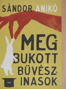 Sándor Anikó - Megbukott bűvészinasok [antikvár]