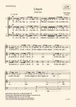 Tóth Péter - LÁNGOK VEGYESKARRA (DZSIDA JENŐ VERSE)