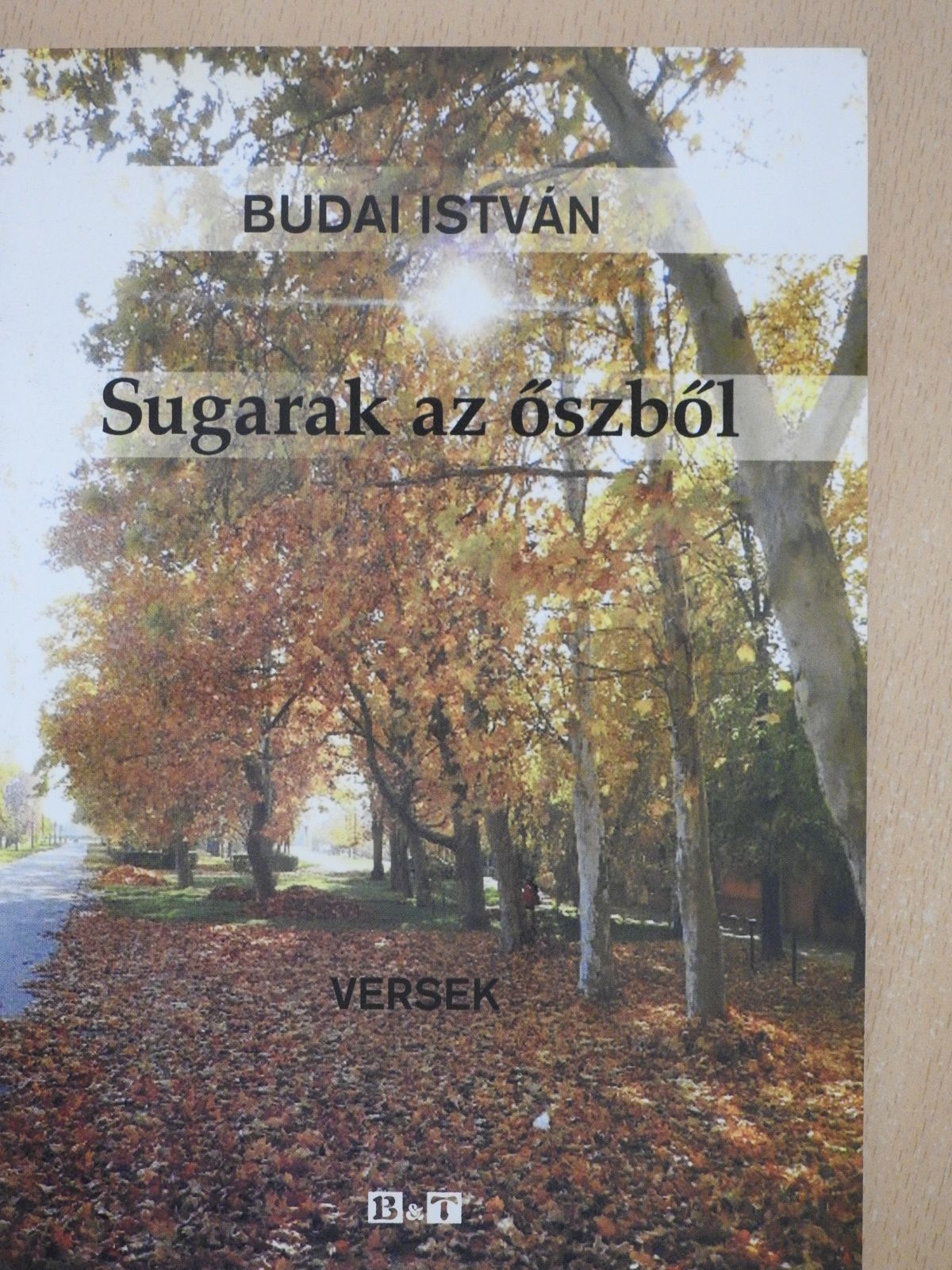Budai István - Sugarak az őszből (dedikált példány) [antikvár]