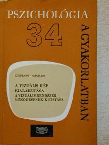 N. J. Vergilesz - A vizuális kép kialakulása [antikvár]