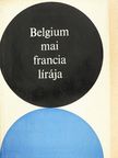 Achille Chavée - Belgium mai francia lírája [antikvár]