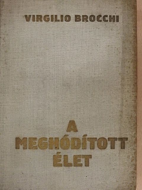 Virgilio Brocchi - A meghódított élet [antikvár]