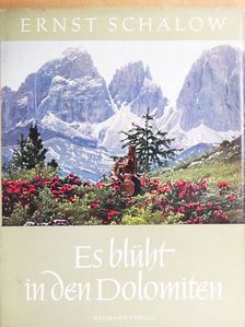 Ernst Schälow - Es blüht in den Dolomiten [antikvár]