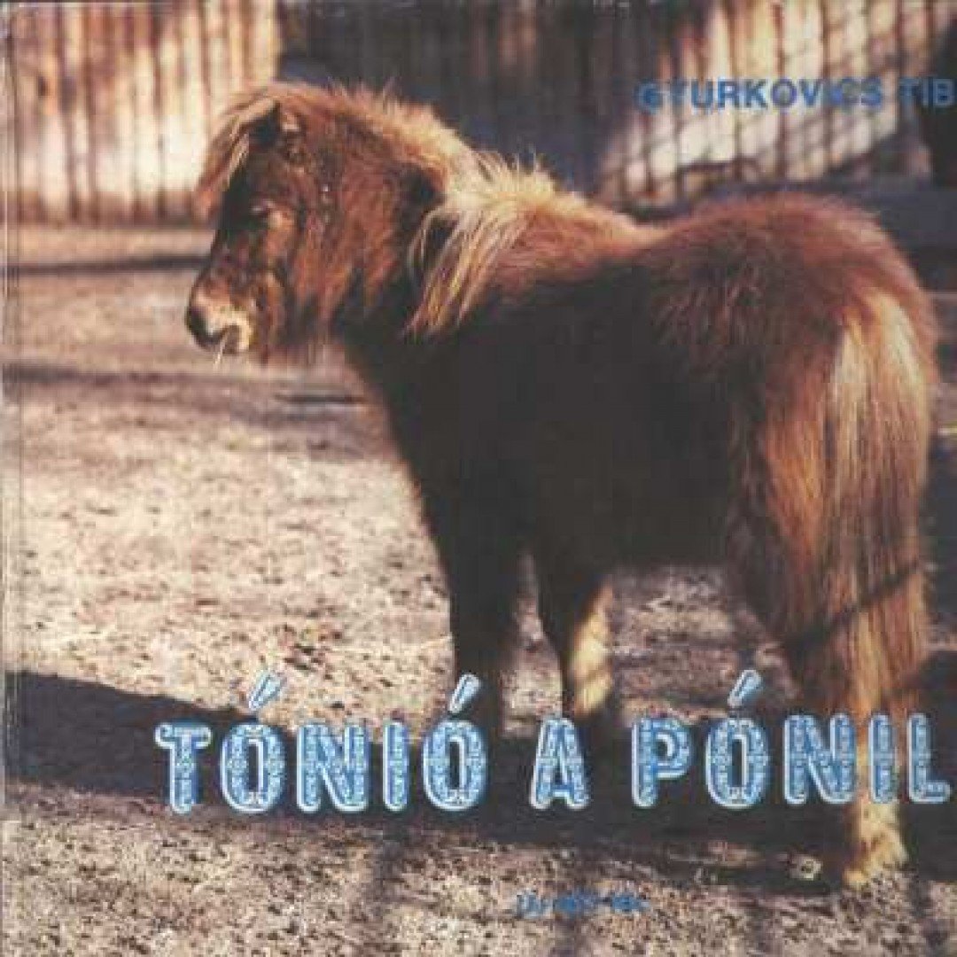 Gyurkovics Tibor - Tónió a póniló [antikvár]