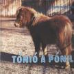 Gyurkovics Tibor - Tónió a póniló [antikvár]
