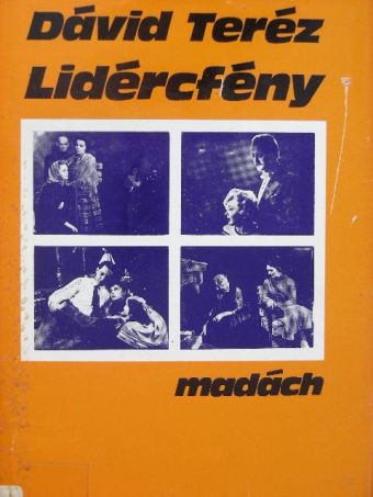 Dávid Teréz - Lidércfény [antikvár]