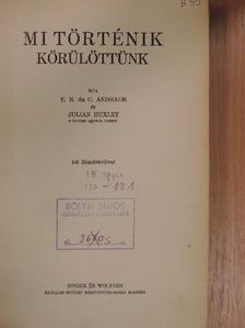 E. N. da C. Andrade - Mi történik körülöttünk [antikvár]