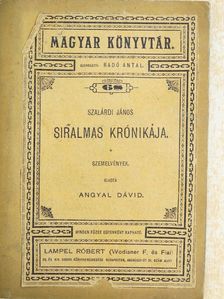 Angyal Dávid - Szalárdi János siralmas krónikája [antikvár]