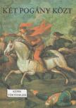 R. VÁRKONYI ÁGNES - Két pogány közt [antikvár]