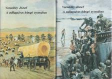 DR. VECSEKLŐY JÓZSEF - A csillagsávos lobogó nyomában I-II. kötet [antikvár]