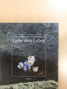 Hermann Brüggemann - Liebe dein Leben [antikvár]
