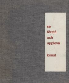 Kurt Kranz - Se, första och uppleva konst [antikvár]