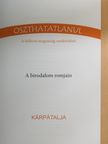 Iváncsik Attila - A birodalom romjain [antikvár]