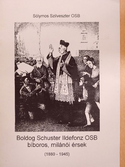 Sólymos Szilveszter OSB - Boldog Schuster Ildefonz OSB bíboros, milánói érsek [antikvár]