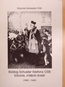Sólymos Szilveszter OSB - Boldog Schuster Ildefonz OSB bíboros, milánói érsek [antikvár]
