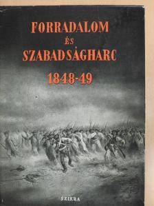 Andics Erzsébet - Forradalom és szabadságharc 1848-1849 [antikvár]