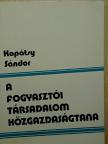 Kopátsy Sándor - A fogyasztói társadalom közgazdaságtana [antikvár]