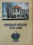 Dr. Horváth József - Csurgó város 1989-1999 [antikvár]