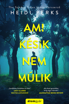 Heidi Perks - Ami késik, nem múlik