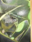 Dane Zajc - Mindegy merre [antikvár]