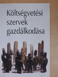 Csermák Judit - Költségvetési szervek gazdálkodása [antikvár]