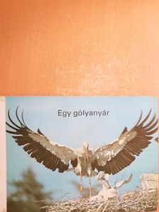 Harald Lange - Egy gólyanyár [antikvár]