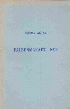 Endrey Antal - Félbenmaradt nép [antikvár]