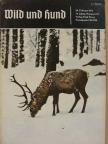 Alfred Weil - Wild und Hund 20. Februar 1972 [antikvár]
