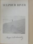 George de Schweinitz - Sulphur River Summer 1979 [antikvár]