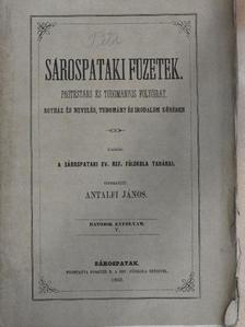 Barna József - Sárospataki Füzetek 1862. junius 2. [antikvár]