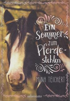 Mina Teichert - Ein Sommer zum Pferdestehlen [antikvár]