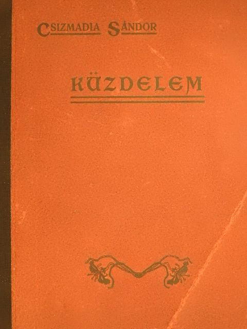 Csizmadia Sándor - Küzdelem [antikvár]