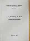Dr. Böszörményi Zoltán - A falakon kívül és belül [antikvár]