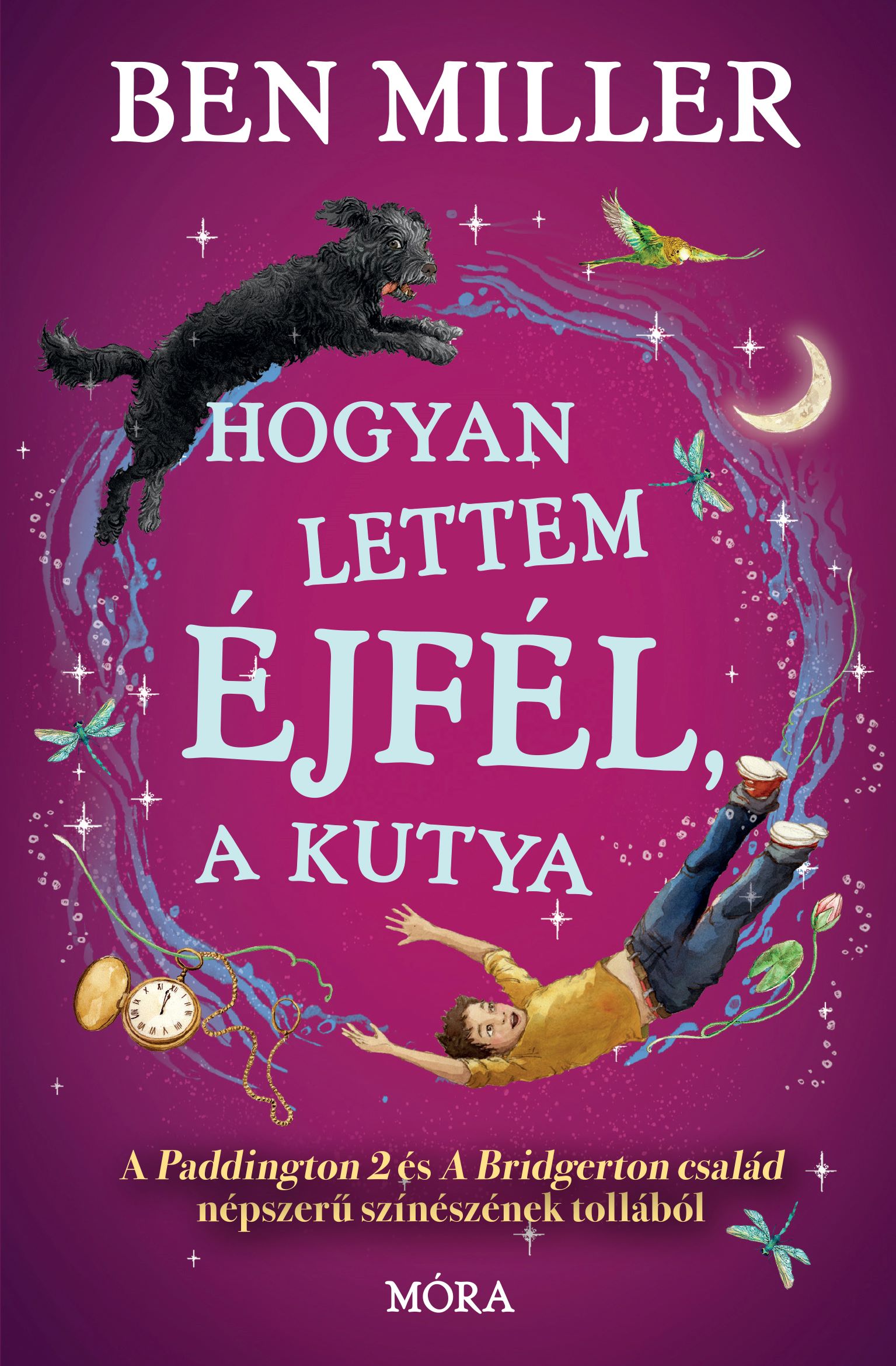 Ben Miller - Hogyan lettem Éjfél, a kutya