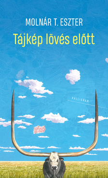 Molnár T. Eszter - Tájkép lövés előtt