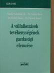 Dr. Birher Ilona - A vállalkozások tevékenységének gazdasági elemzése [antikvár]